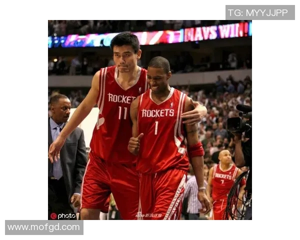 姚明肖像头像的艺术魅力与篮球传奇的完美结合探索