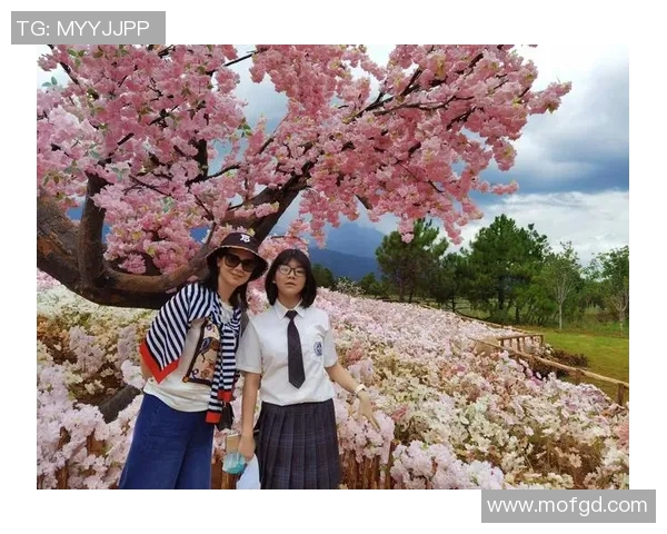 楚雄姚明辉：探索篮球梦想与地方文化交融的独特旅程