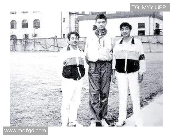 姚明的单纯与简单：从篮球巨星到生活哲学的真实写照