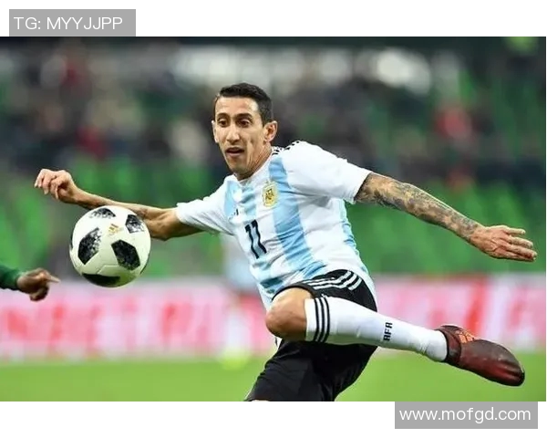 啊根延足球明星的传奇之路与辉煌成就揭秘