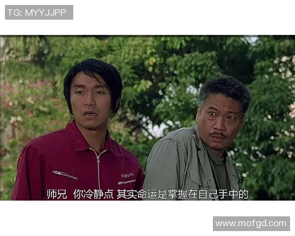 少林足球明星评论引发热议球迷热情高涨的背后故事