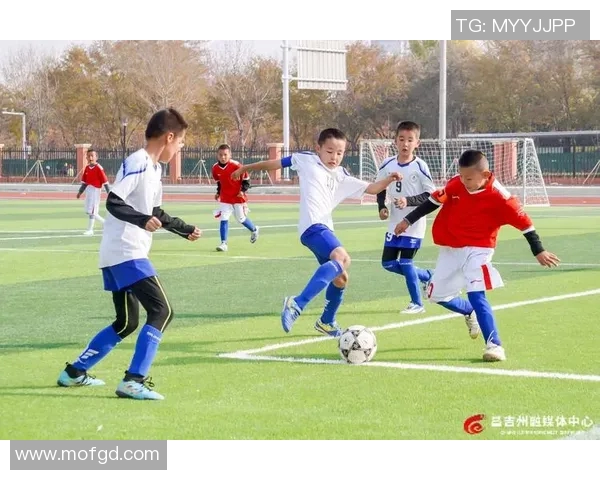 从小球场到世界舞台足球明星们的儿时梦想与奋斗历程 从小球场到世界舞台足球明星们的儿时梦想与奋斗历程