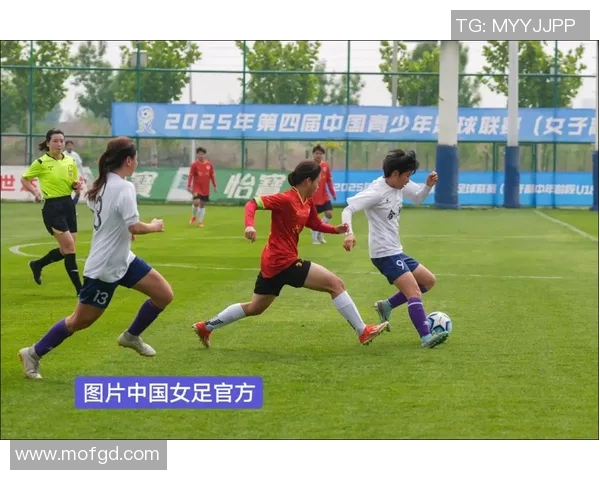 中国足球甲级联赛直播精彩赛事回顾与分析尽在这里，快来一起关注吧