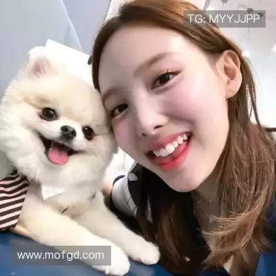 费朗标